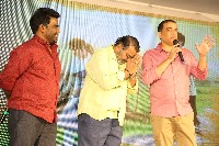 Balagam Movie Press Meet Photos